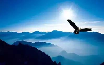 【江達課堂】管理一個團隊，必有的鐵規